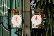 SONY DSC